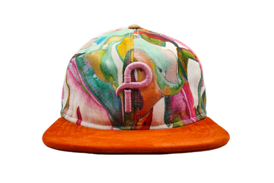 Water Color Logo Six Panel Hat